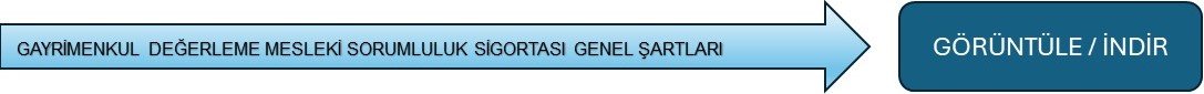 CMI Genel şartı Türkçe